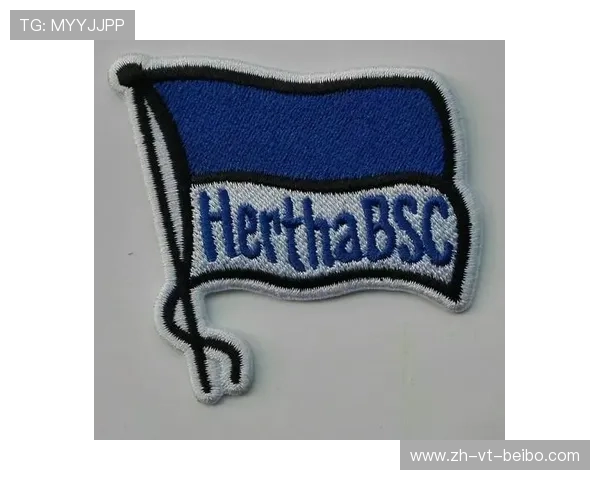 德甲球队缩写名称大全（含中文对照）